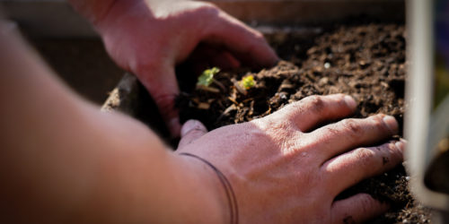 20220414-DSC00324 20220414-DSC00324