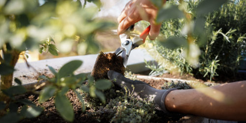 Titelbild_Unterhalt Titelbild_Unterhalt